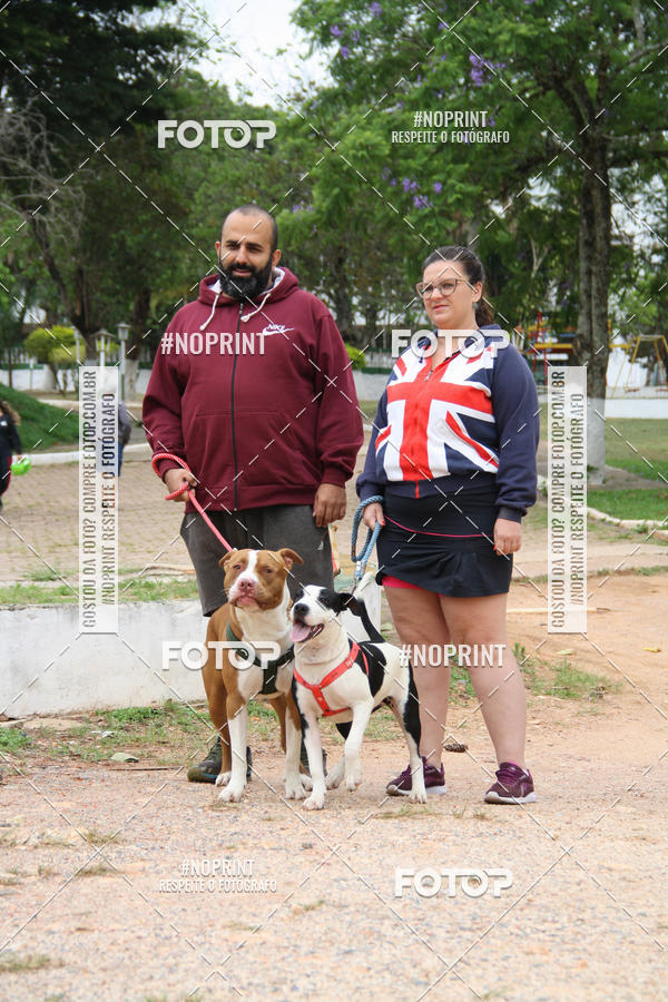 Buy your photos of the event2 PET RUNNER 2019 on Fotop