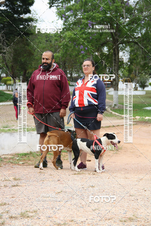 Buy your photos of the event2 PET RUNNER 2019 on Fotop