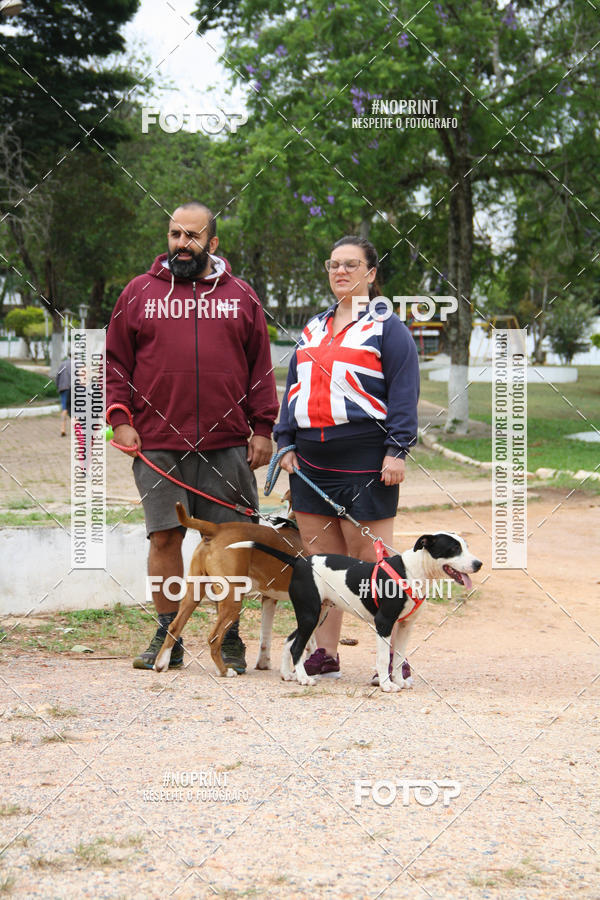 Buy your photos of the event2 PET RUNNER 2019 on Fotop