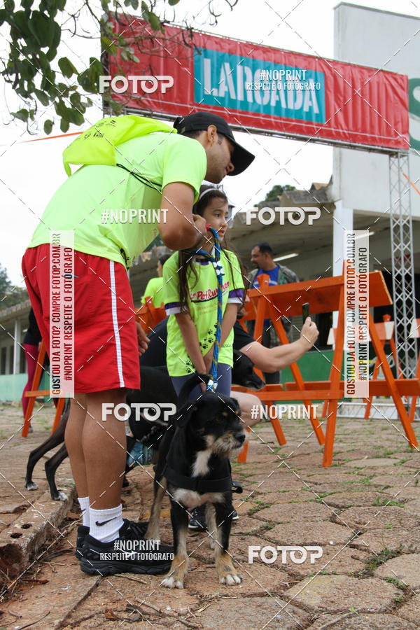 Buy your photos of the event2 PET RUNNER 2019 on Fotop