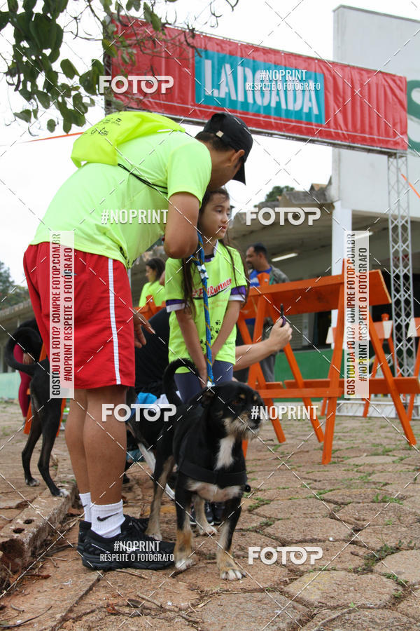Buy your photos of the event2 PET RUNNER 2019 on Fotop