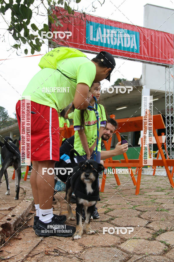 Buy your photos of the event2 PET RUNNER 2019 on Fotop