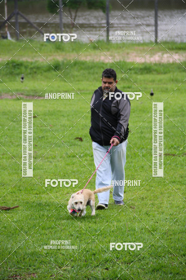 Buy your photos of the event2 PET RUNNER 2019 on Fotop