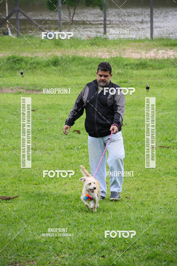 Buy your photos of the event2 PET RUNNER 2019 on Fotop