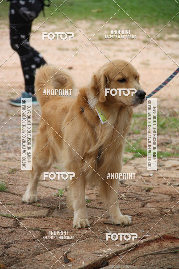 Buy your photos of the event2 PET RUNNER 2019 on Fotop