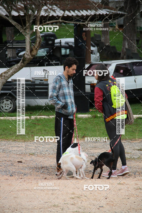 Buy your photos of the event2 PET RUNNER 2019 on Fotop