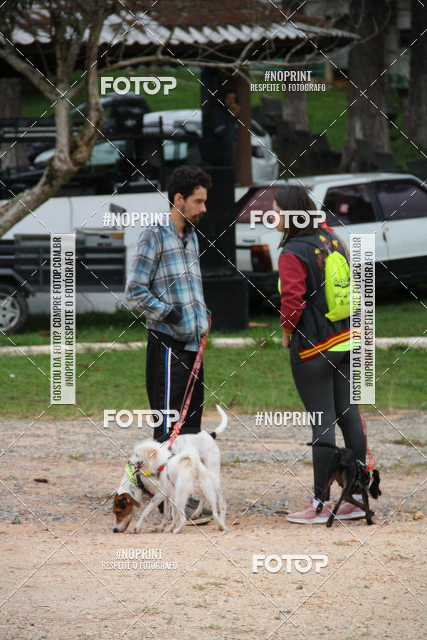 Buy your photos of the event2 PET RUNNER 2019 on Fotop