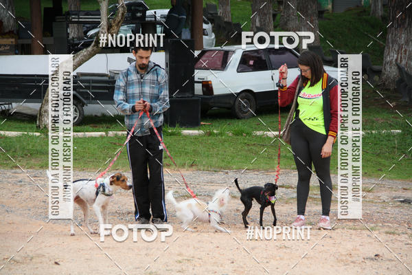 Buy your photos of the event2 PET RUNNER 2019 on Fotop