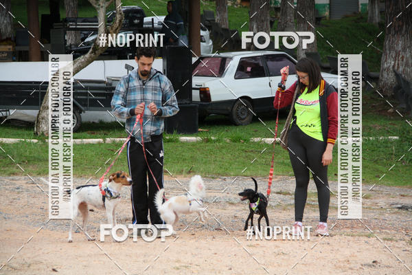 Buy your photos of the event2 PET RUNNER 2019 on Fotop