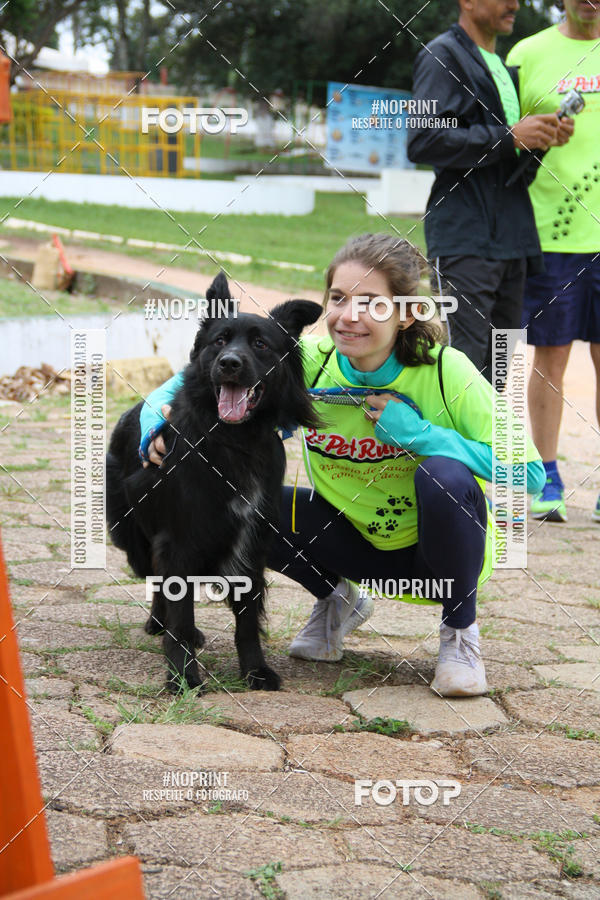 Buy your photos of the event2 PET RUNNER 2019 on Fotop