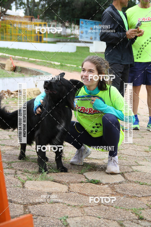Buy your photos of the event2 PET RUNNER 2019 on Fotop