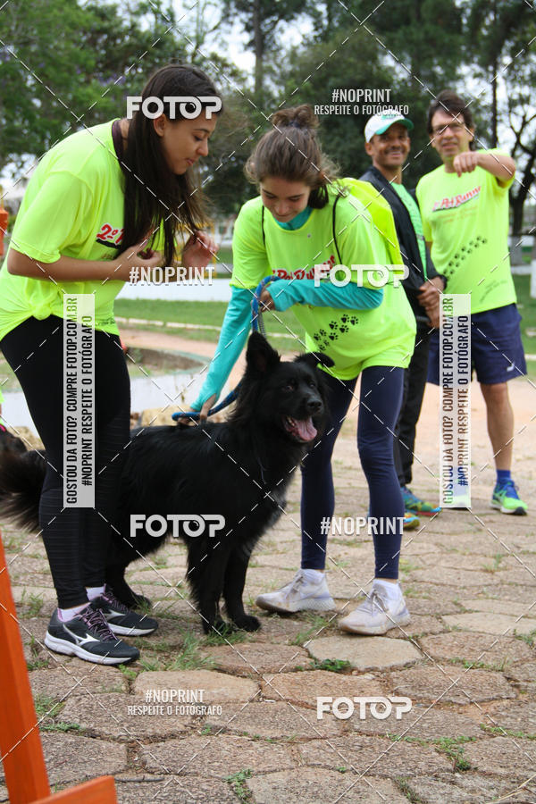 Buy your photos of the event2 PET RUNNER 2019 on Fotop