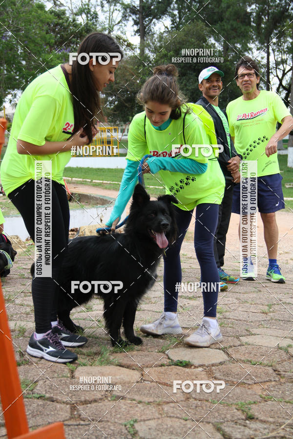 Buy your photos of the event2 PET RUNNER 2019 on Fotop