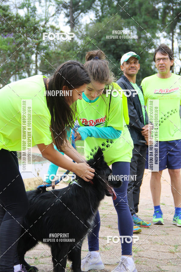 Buy your photos of the event2 PET RUNNER 2019 on Fotop