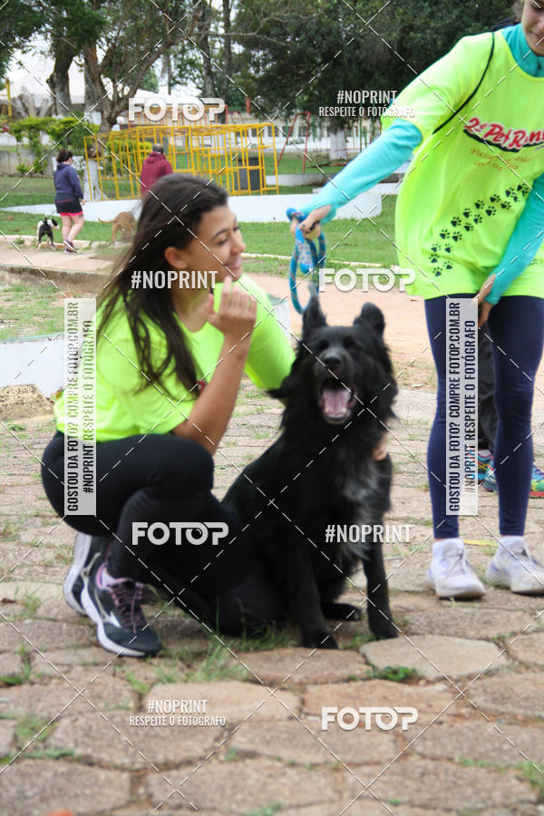 Buy your photos of the event2 PET RUNNER 2019 on Fotop