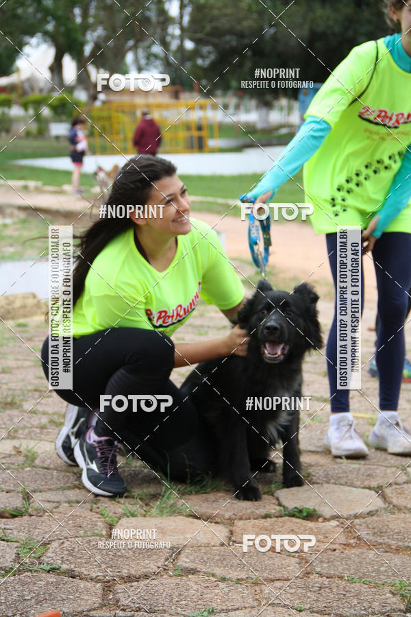 Buy your photos of the event2 PET RUNNER 2019 on Fotop