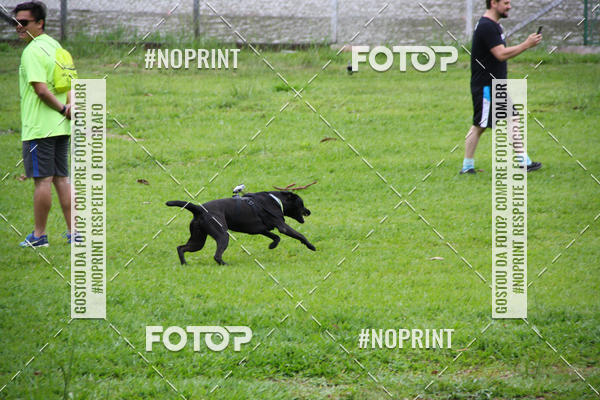 Buy your photos of the event2 PET RUNNER 2019 on Fotop