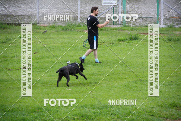Buy your photos of the event2 PET RUNNER 2019 on Fotop