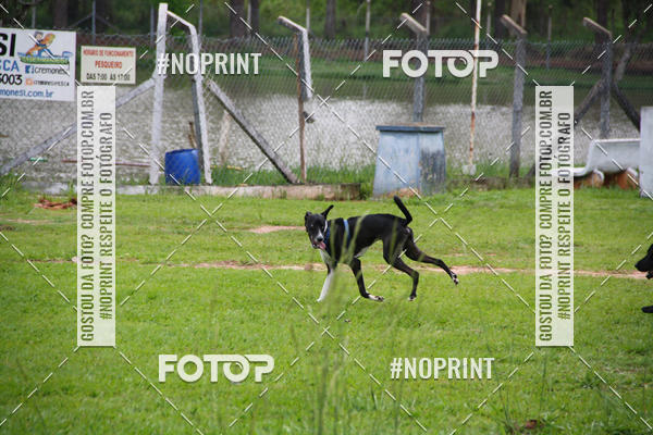 Buy your photos of the event2 PET RUNNER 2019 on Fotop