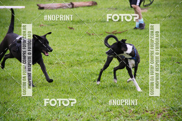 Buy your photos of the event2 PET RUNNER 2019 on Fotop