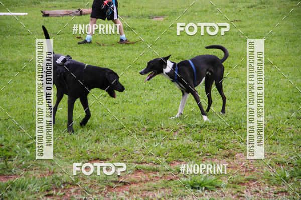 Buy your photos of the event2 PET RUNNER 2019 on Fotop