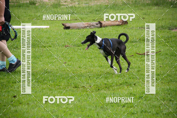 Buy your photos of the event2 PET RUNNER 2019 on Fotop