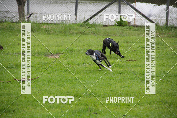 Buy your photos of the event2 PET RUNNER 2019 on Fotop