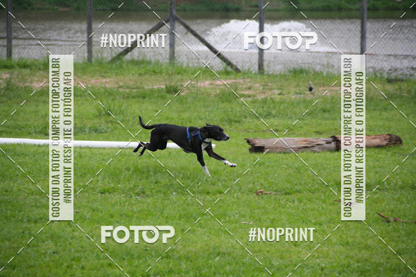 Buy your photos of the event2 PET RUNNER 2019 on Fotop