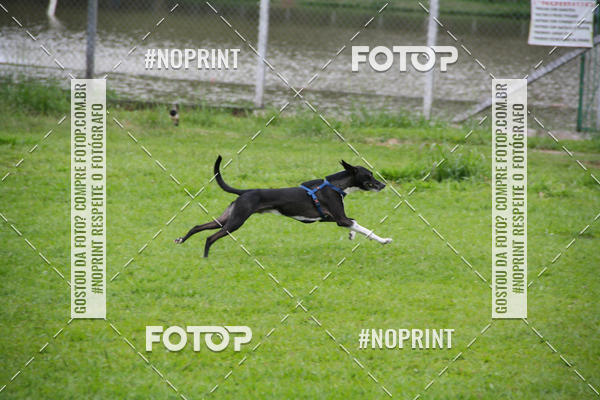 Buy your photos of the event2 PET RUNNER 2019 on Fotop