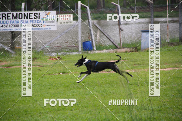 Buy your photos of the event2 PET RUNNER 2019 on Fotop