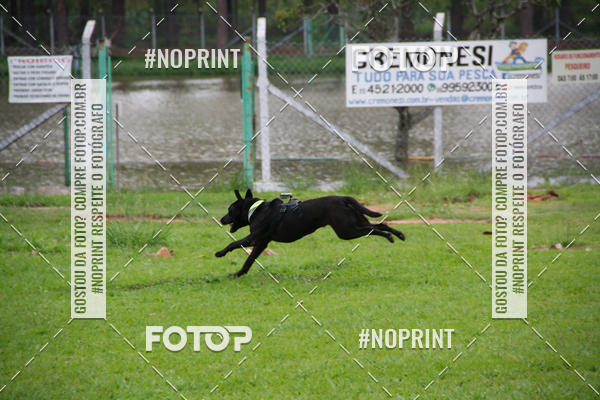 Buy your photos of the event2 PET RUNNER 2019 on Fotop