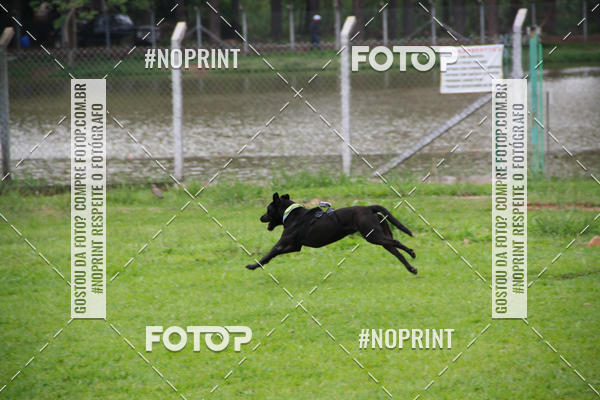 Buy your photos of the event2 PET RUNNER 2019 on Fotop