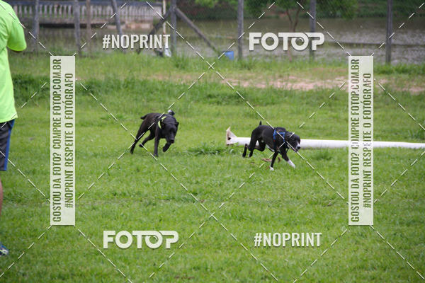 Buy your photos of the event2 PET RUNNER 2019 on Fotop