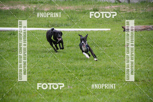 Buy your photos of the event2 PET RUNNER 2019 on Fotop