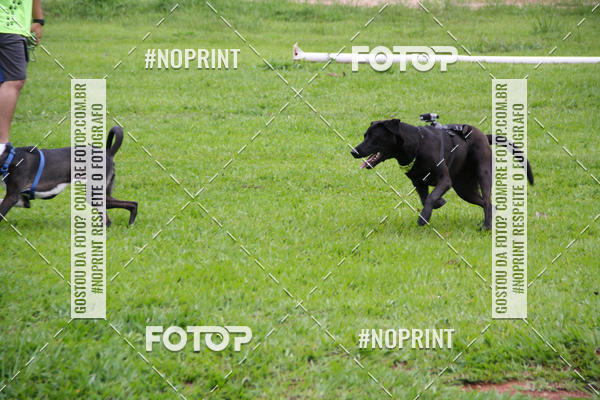 Buy your photos of the event2 PET RUNNER 2019 on Fotop