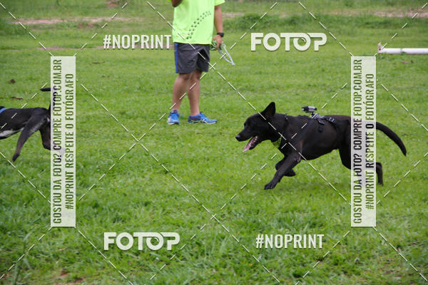Buy your photos of the event2 PET RUNNER 2019 on Fotop