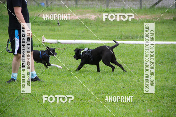 Buy your photos of the event2 PET RUNNER 2019 on Fotop