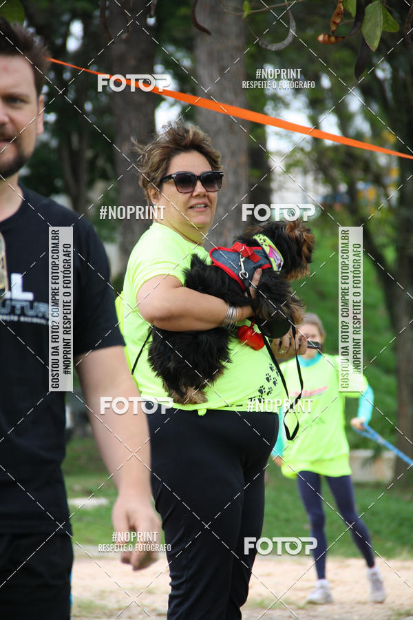 Buy your photos of the event2 PET RUNNER 2019 on Fotop