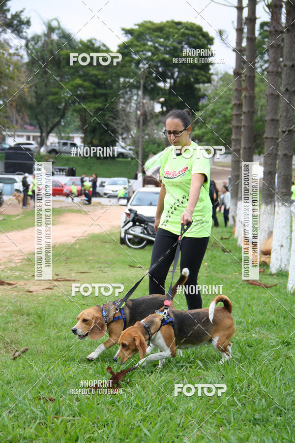 Buy your photos of the event2 PET RUNNER 2019 on Fotop