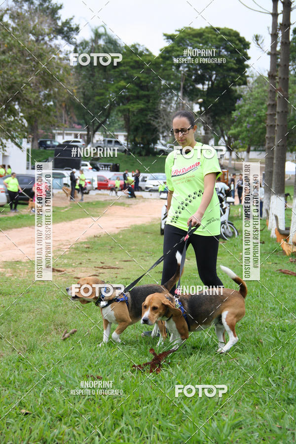 Buy your photos of the event2 PET RUNNER 2019 on Fotop