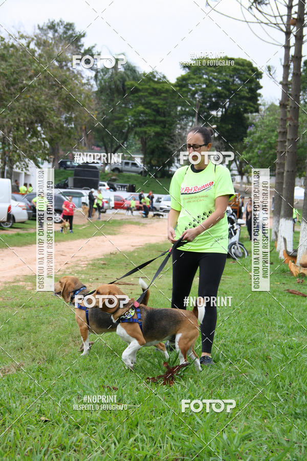 Buy your photos of the event2 PET RUNNER 2019 on Fotop