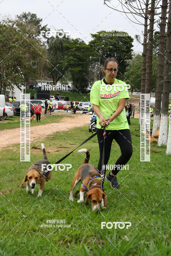 Buy your photos of the event2 PET RUNNER 2019 on Fotop