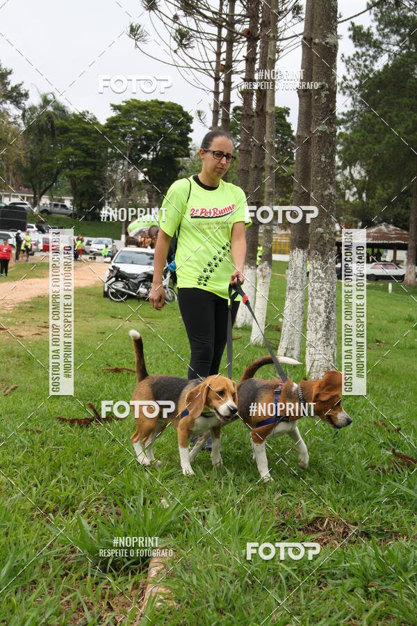 Buy your photos of the event2 PET RUNNER 2019 on Fotop