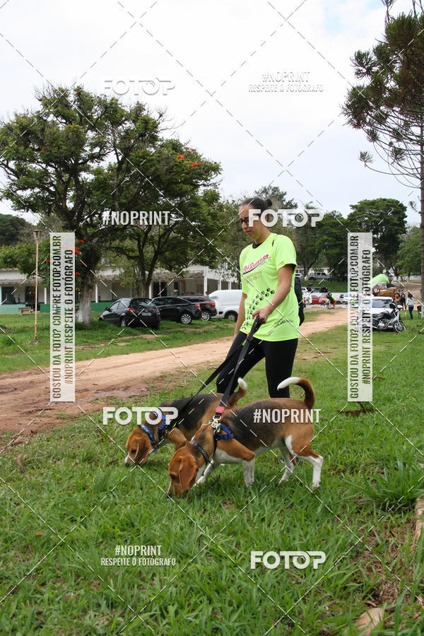 Buy your photos of the event2 PET RUNNER 2019 on Fotop