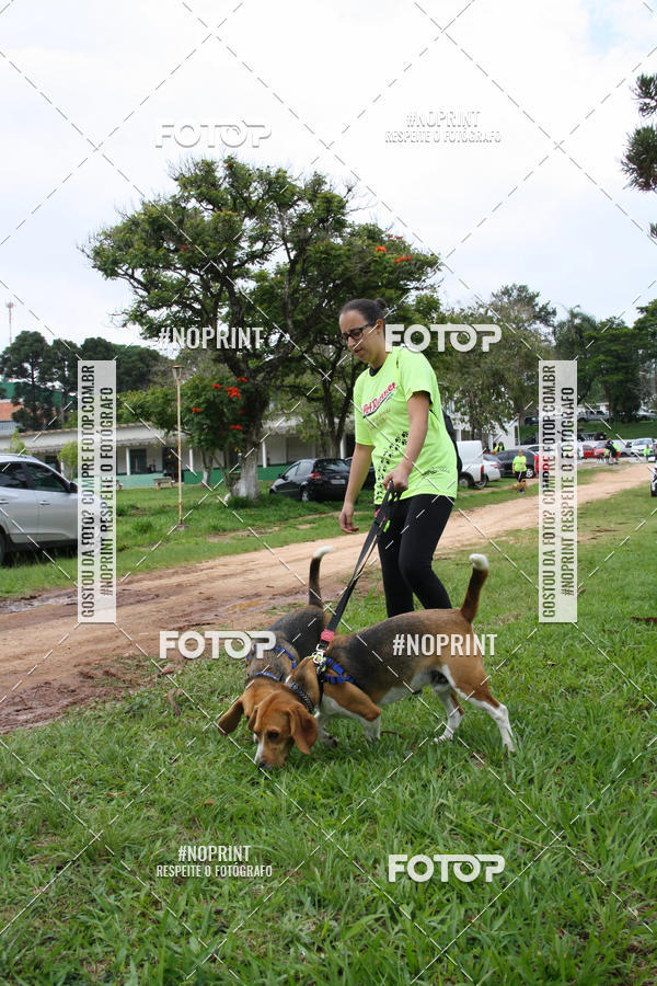 Buy your photos of the event2 PET RUNNER 2019 on Fotop