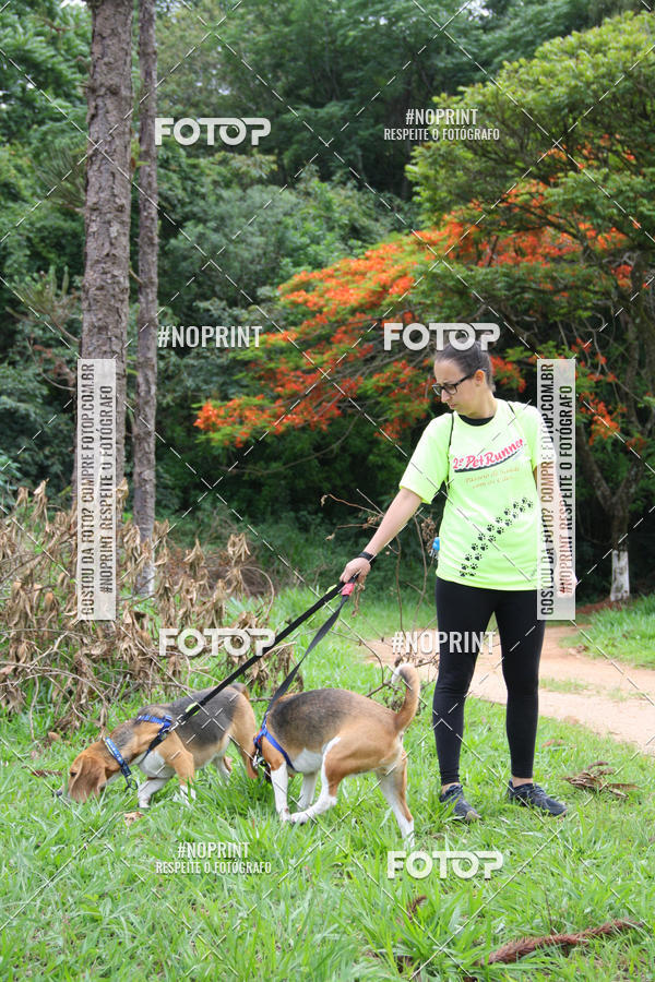 Buy your photos of the event2 PET RUNNER 2019 on Fotop