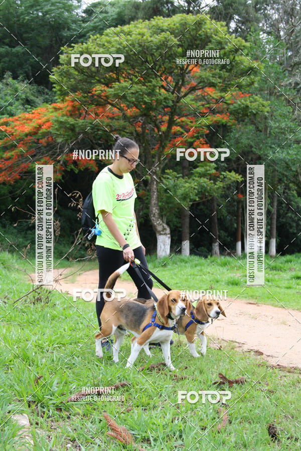 Buy your photos of the event2 PET RUNNER 2019 on Fotop