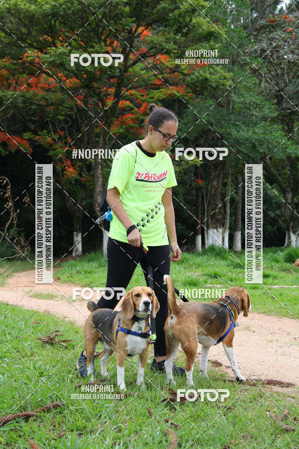 Buy your photos of the event2 PET RUNNER 2019 on Fotop