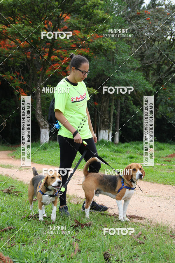 Buy your photos of the event2 PET RUNNER 2019 on Fotop