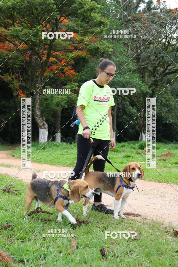 Buy your photos of the event2 PET RUNNER 2019 on Fotop
